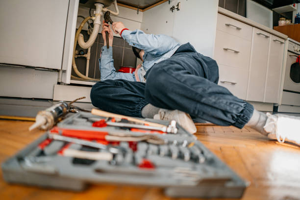 Best Local Plumber Services  in Catawissa, PA